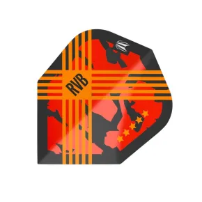 Target - darts Flights Raymond van Barneveld G3 - Pro.Ultra No6 335340
