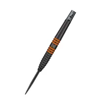 Target - darts Steel Dart Raymond van Barneveld - 80% Black - 26g