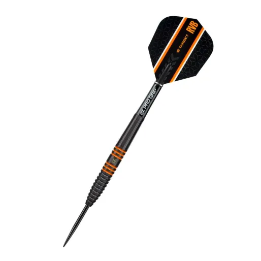 Target - darts Steel Dart Raymond van Barneveld - 80% Black - 26g