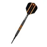 Target - darts Darts Raymond van Barneveld - 80% Black - 20g