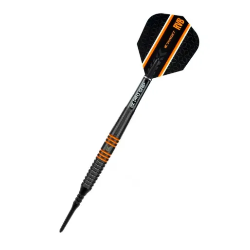 Target - darts Darts Raymond van Barneveld - 80% Black - 20g