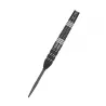 Target - darts Steel Dart Raymond van Barneveld - 95% Echo - Swiss Point - 25g