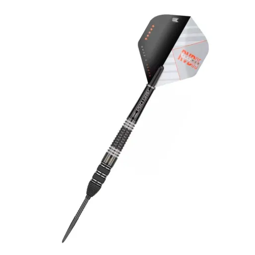 Target - darts Steel Dart Raymond van Barneveld - 95% Echo - Swiss Point - 25g