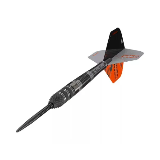 Target - darts Steel Dart Raymond van Barneveld - 95% Echo - Swiss Point - 25g