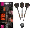 Target - darts Steel Dart Raymond van Barneveld - Black Edition - Swiss Point - 21g