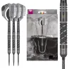 Target - darts Steeldarts Dimitri Van den Bergh - Echo - Swiss Point - 23g