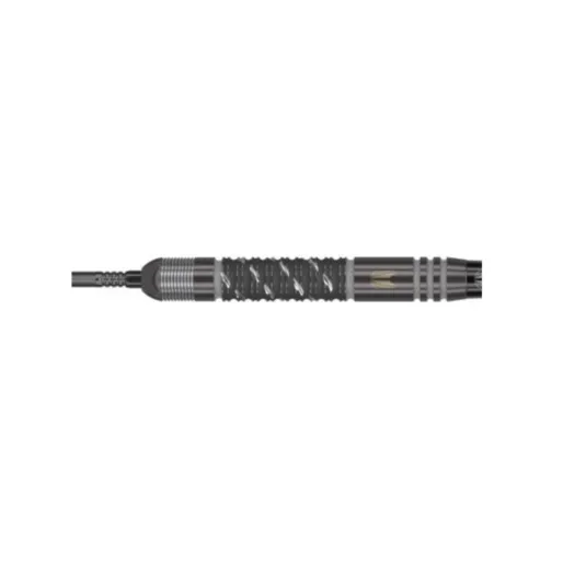Target - darts Steeldarts Dimitri Van den Bergh - Echo - Swiss Point - 23g