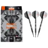 Target - darts Darts Raymond van Barneveld - 95% Echo - 18g