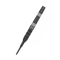 Target - darts Darts Raymond van Barneveld - 95% Echo - 20g