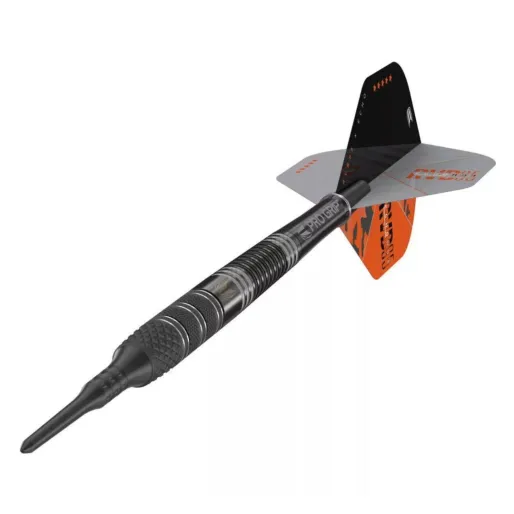 Target - darts Darts Raymond van Barneveld - 95% Echo - 18g