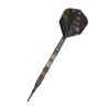 Target - darts Darts Raymond van Barneveld - Black Edition - 18g