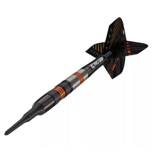 Target - darts Darts Raymond van Barneveld - Black Edition - 18g
