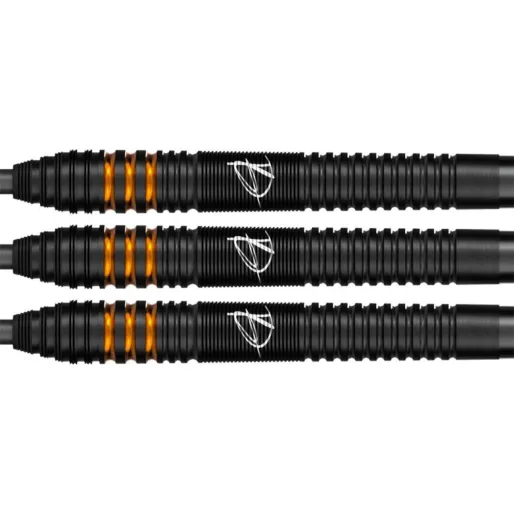 Bull's NL Steel Darts Dirk van Duijvenbode - E2 - 25g