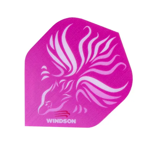 Windson Flights Avis