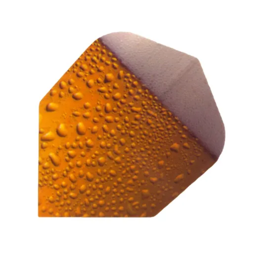 Windson Flights Beer