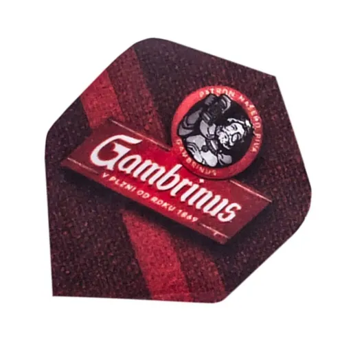 Windson Flights Gambrinus