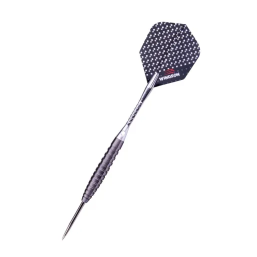 Windson Steel Dart Carbide - 21g