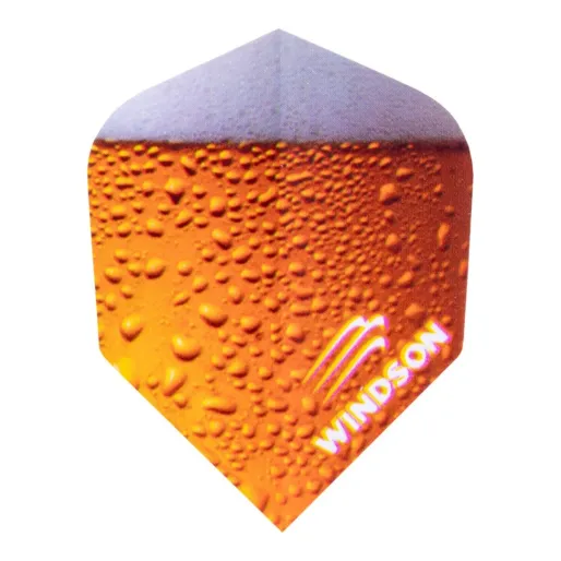 Windson Steel Dart Shtamgast - 21g