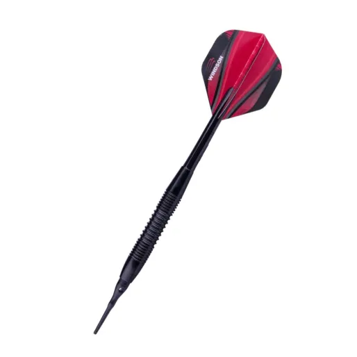 Windson Darts Charter - 20g