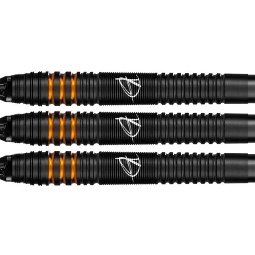 Bull's NL Darts Dirk van Duijvenbode - E2 - 20g