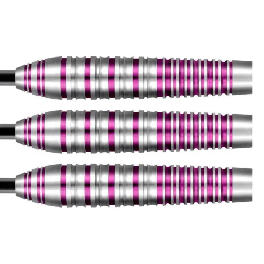Shot Steeldarts Zen Juji - 24g
