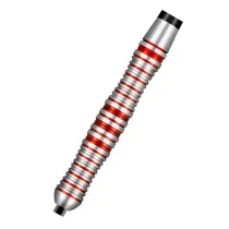 Shot Steeldarts Zen Enso - 24g