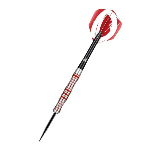 Shot Steeldarts Zen Enso - 23g