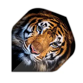 Designa Flights Motley Collection - Tiger F4369