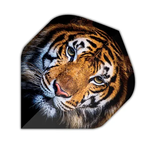 Designa Flights Motley Collection - Tiger F4369