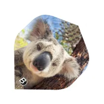 Bull's Flights Motex 52222